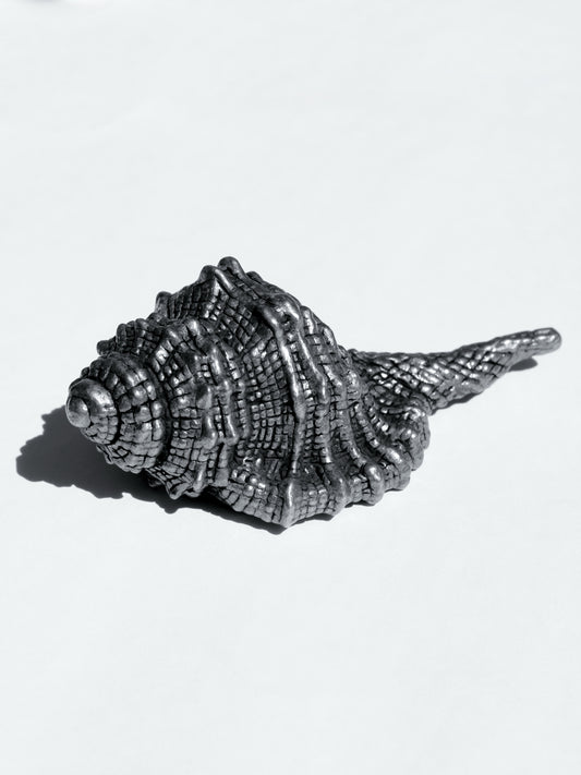 Escultura Caracol Plata Esterlina