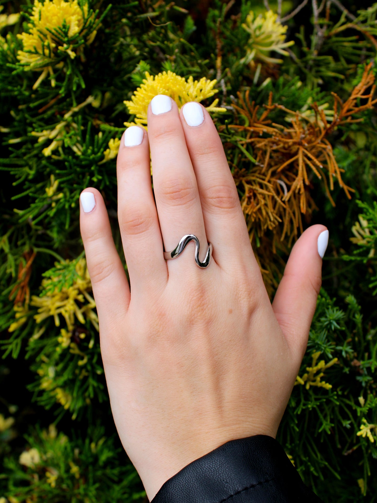 Anillo Ondas Magnéticas