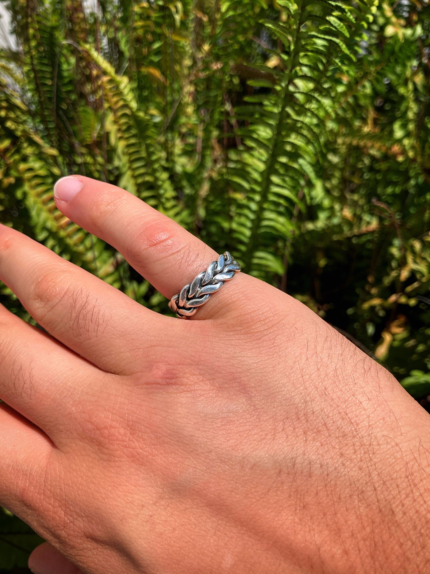 Anillo Laureola